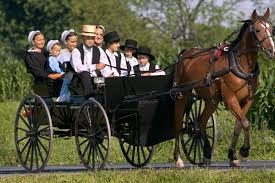 Amish1.jpg