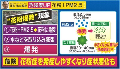 ｲﾝﾌﾙ花粉PM2.5 -5.jpg