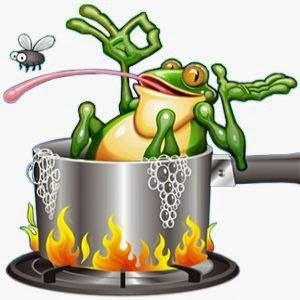 frog cookin3.jpg
