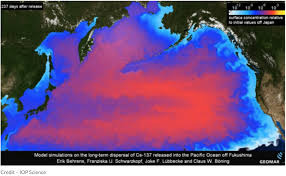 sea-contamination.jpg